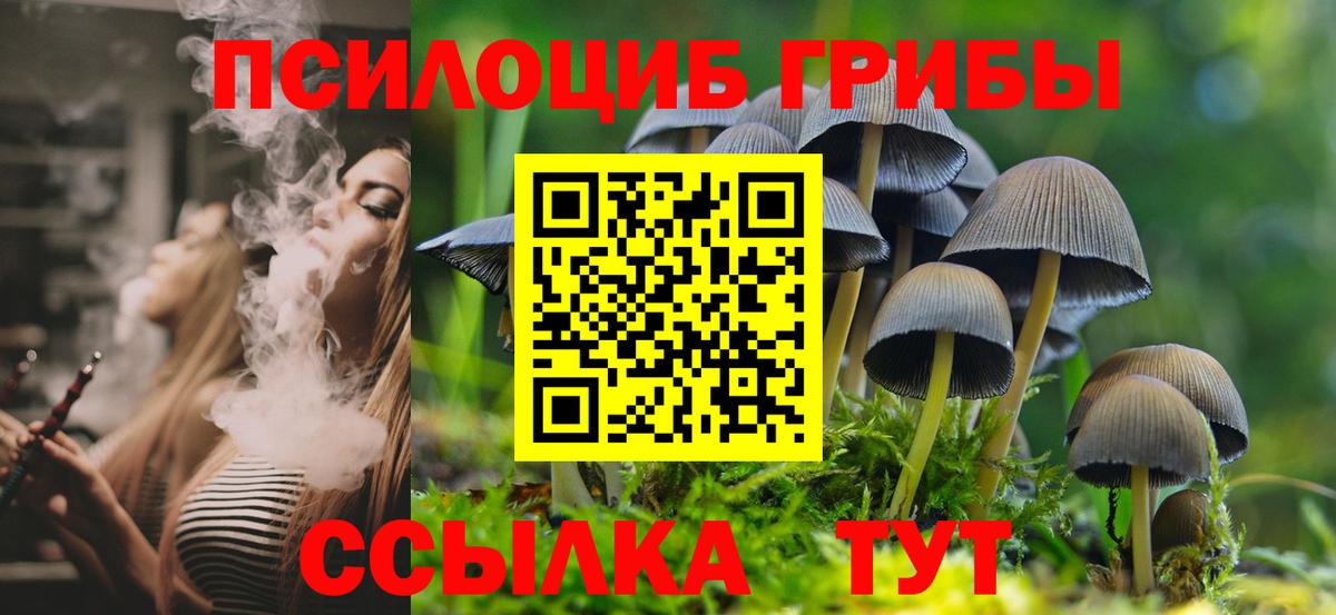 Ярославль  Псилоцибиновые грибы Cubensis  Псилоцибиновые грибы Magic Shrooms  Вход с VPN 